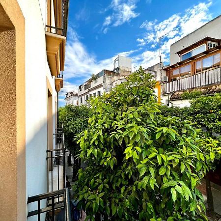 Ferienwohnung San Fernando De La Ribera Córdoba Exterior foto